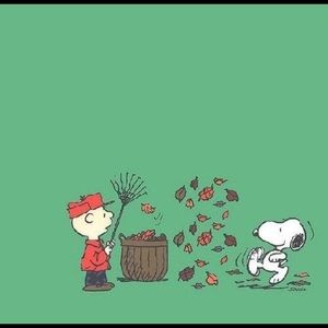 Meet your Posher, Laney